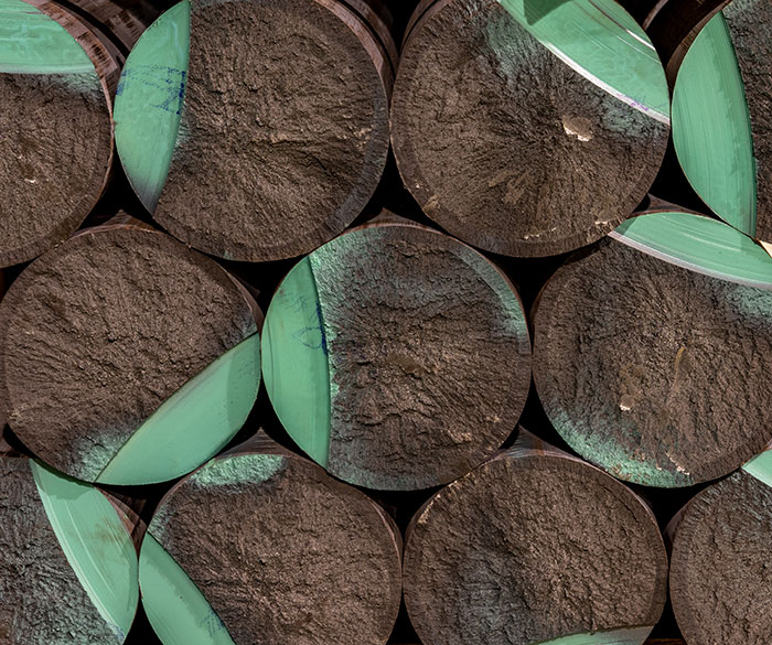 Gray iron continuous cast bars